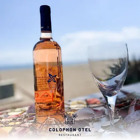 Colophon 酒店 古穆杜尔
